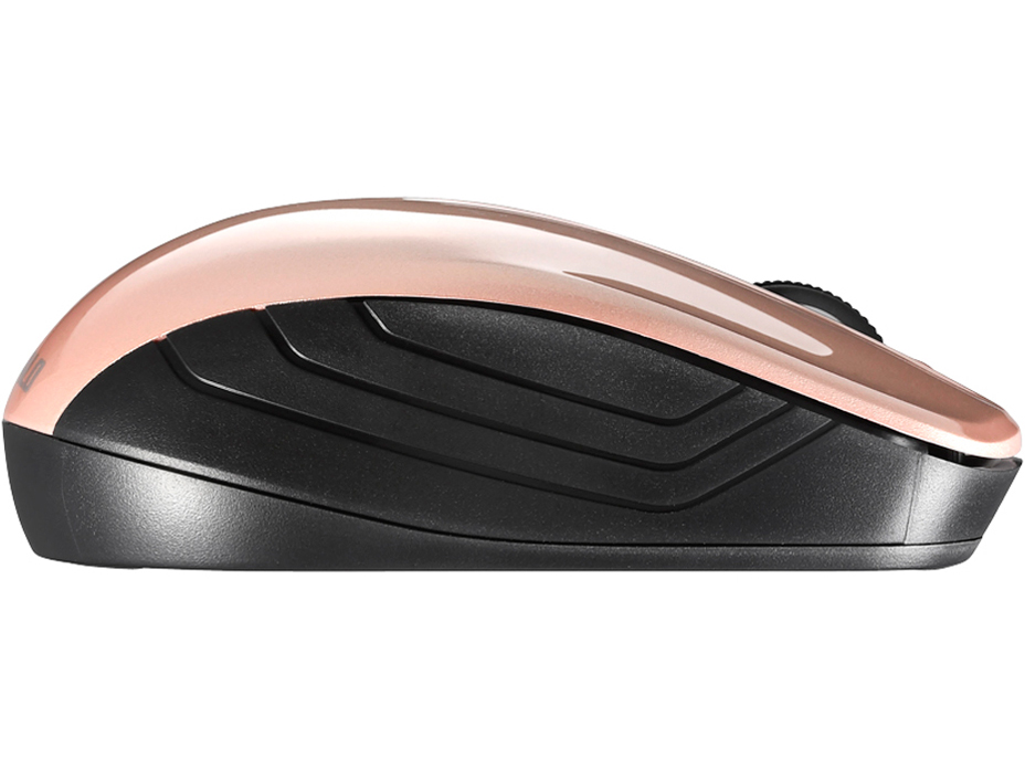 BSMBW107BP [�x�[�W���s���N]