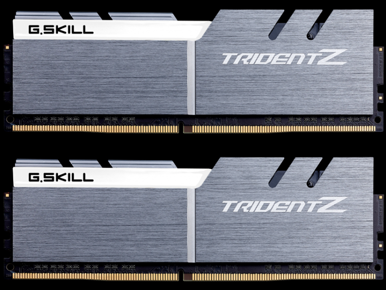 F4-3600C17D-16GTZSW [DDR4 PC4-28800 8GB 2���g] �̐��i�摜