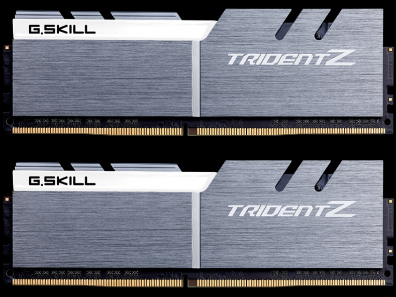 F4-3600C16D-16GTZSW [DDR4 PC4-28800 8GB 2���g] �̐��i�摜