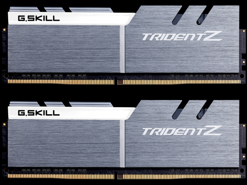 F4-3733C17D-16GTZSW [DDR4 PC4-29800 8GB 2���g] �̐��i�摜