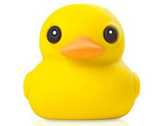 Bone Collection DR15081-16Y [16GB Yellow]