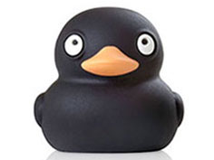 Bone Collection DR15081-16BK [16GB Black]