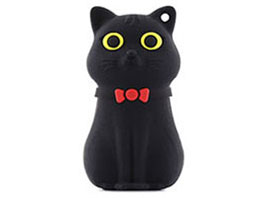 Bone Collection DR15041-16BK [16GB Black]