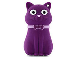 Bone Collection DR15041-16PU [16GB Purple]