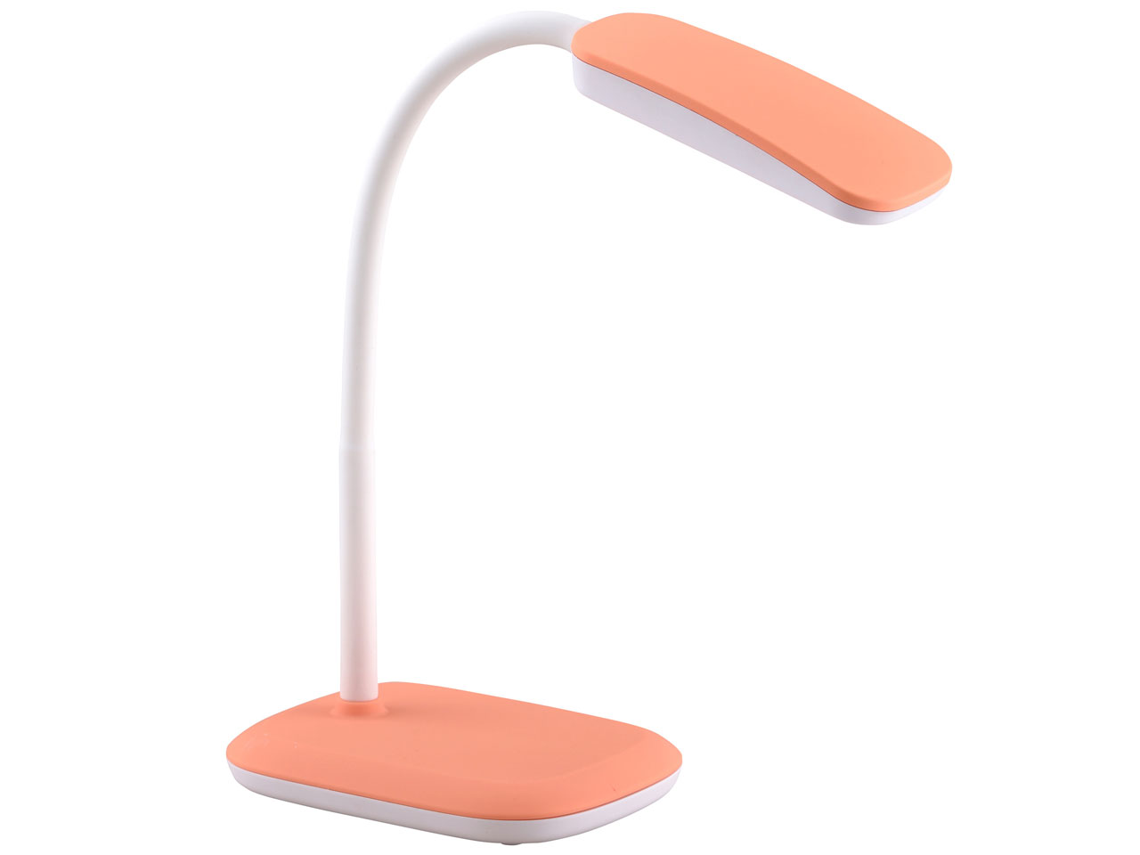 DS-LN31AH-D [�I�����W] �̐��i�摜