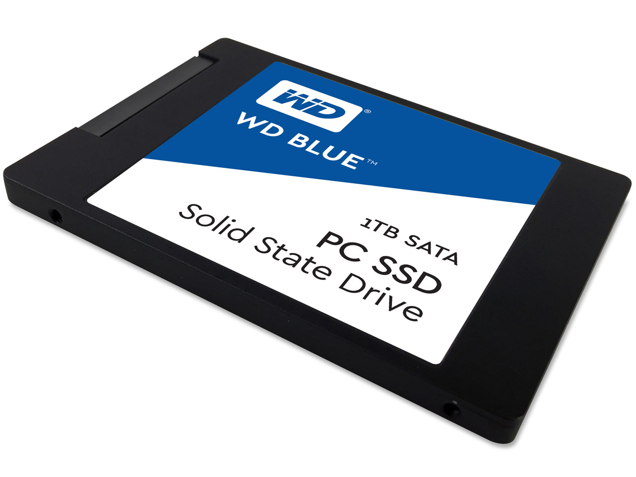 WD Blue WDS100T1B0A