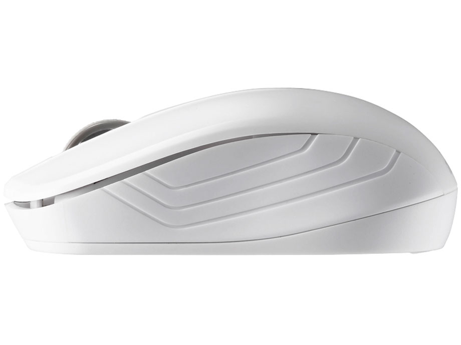 BSMBW055WH [�z���C�g]