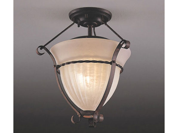 ERG5250X �̐��i�摜