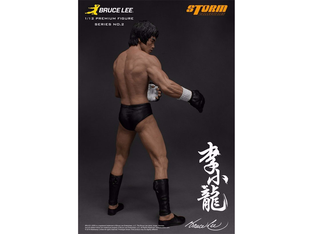 �v���~�A���t�B�M���A �V���[�Y No.2 �u���[�X�E���[