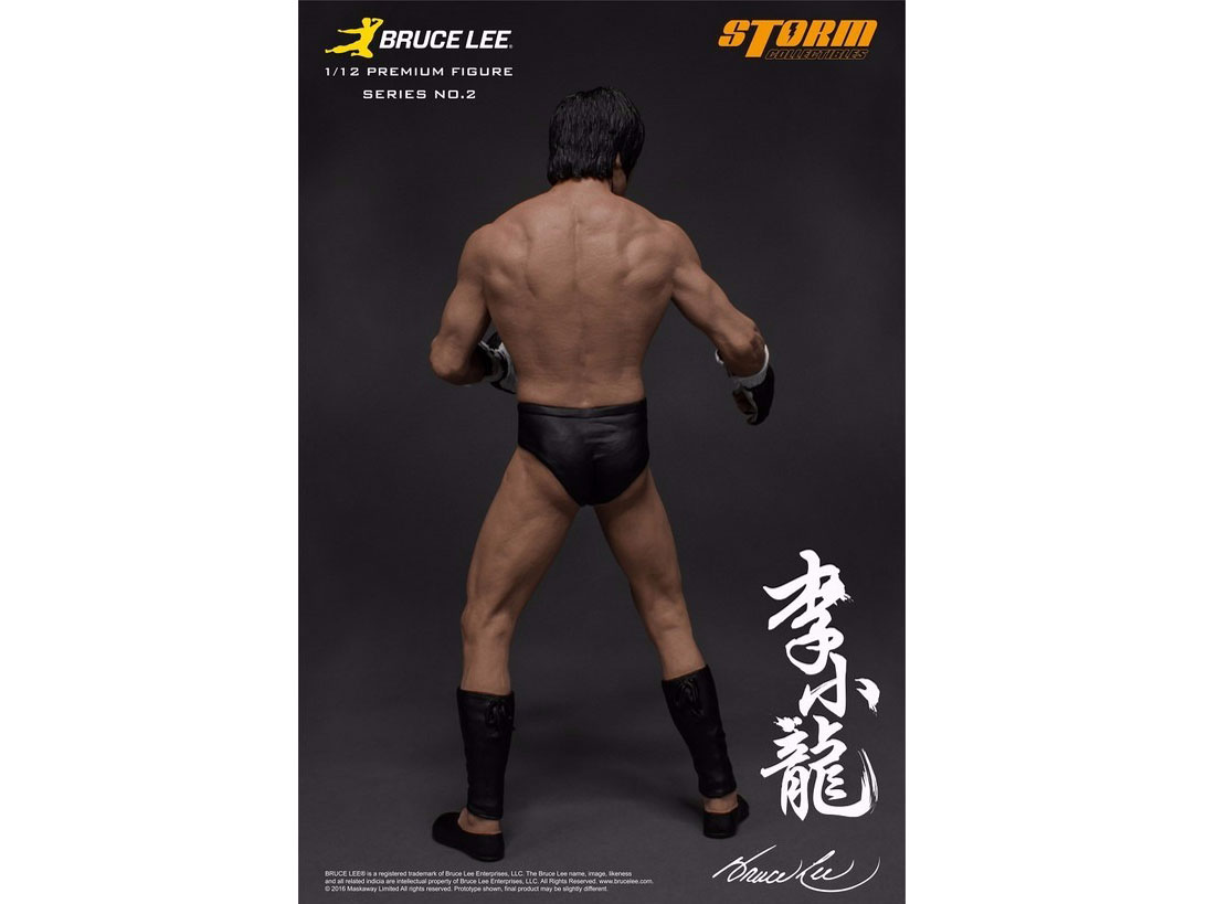 �v���~�A���t�B�M���A �V���[�Y No.2 �u���[�X�E���[