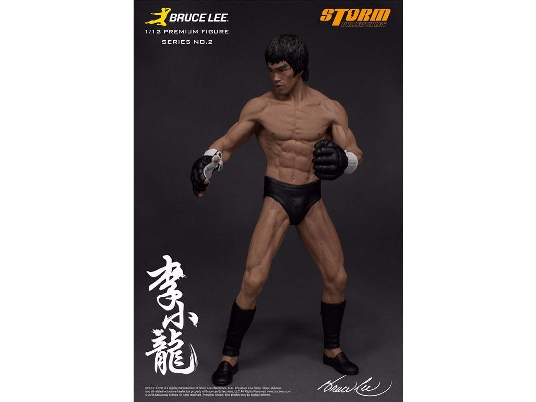 �v���~�A���t�B�M���A �V���[�Y No.2 �u���[�X�E���[