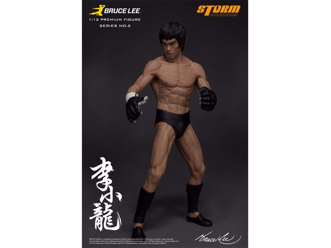 �v���~�A���t�B�M���A �V���[�Y No.2 �u���[�X�E���[