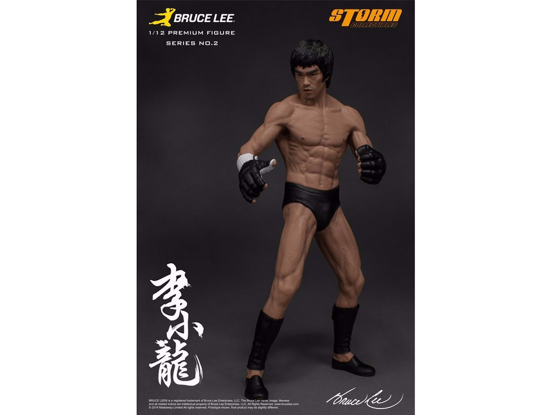 �v���~�A���t�B�M���A �V���[�Y No.2 �u���[�X�E���[