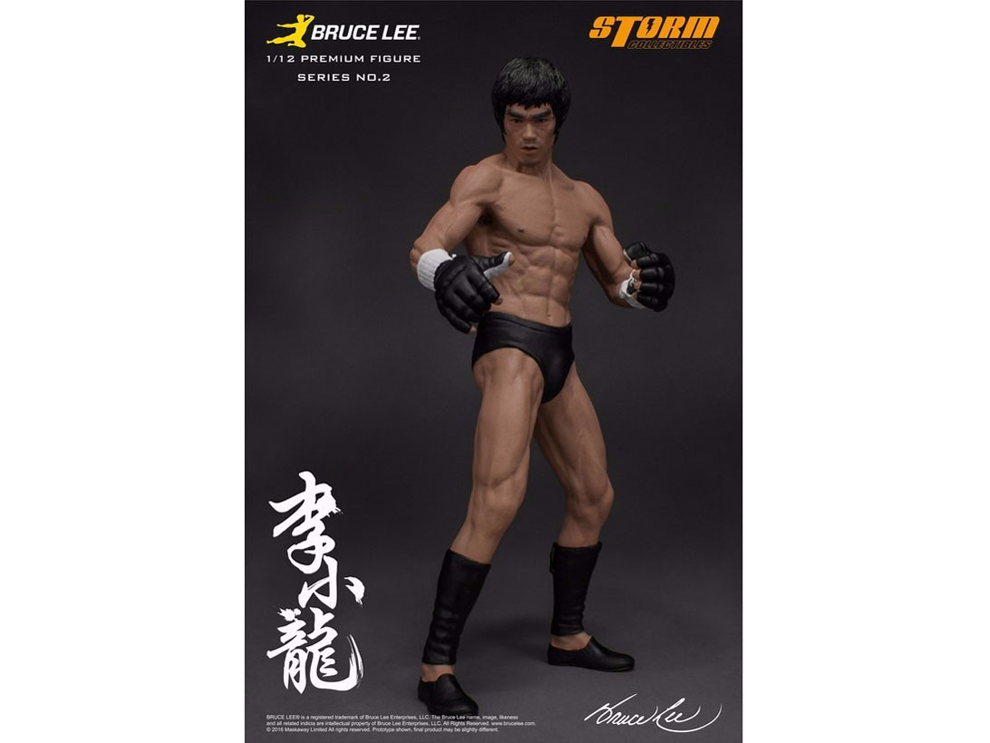 �v���~�A���t�B�M���A �V���[�Y No.2 �u���[�X�E���[