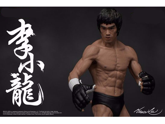 �v���~�A���t�B�M���A �V���[�Y No.2 �u���[�X�E���[