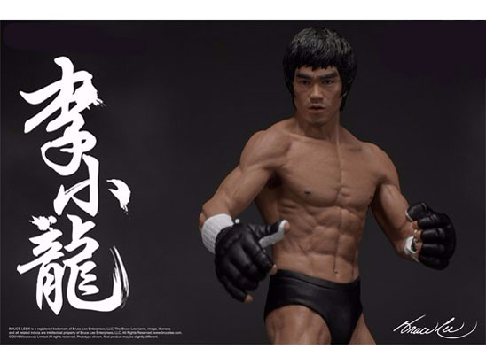 �v���~�A���t�B�M���A �V���[�Y No.2 �u���[�X�E���[