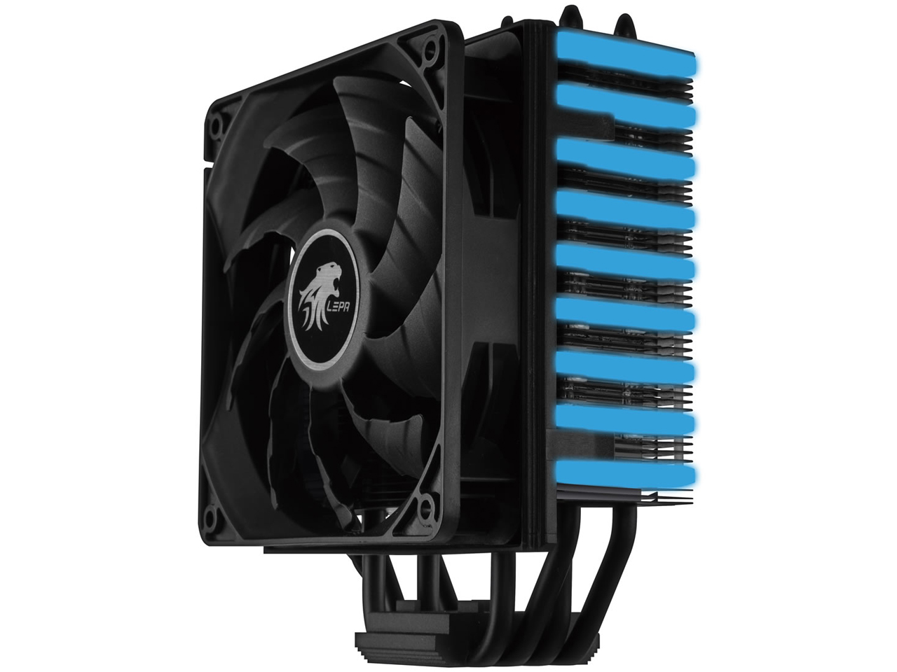 LPANL12 �̐��i�摜