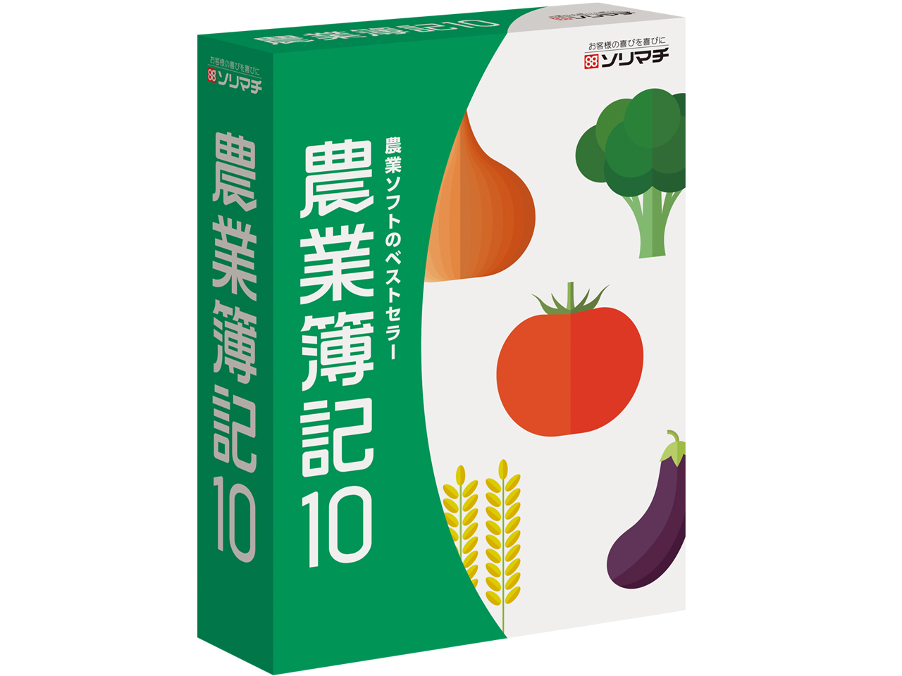 �_�ƕ�L10 �̐��i�摜