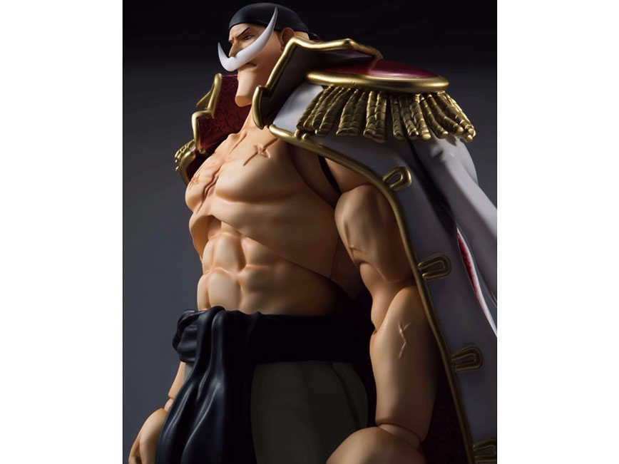 ���@���A�u���A�N�V���� Heroes ONE PIECE ���Ђ� �G�h���[�h�E�j���[�Q�[�g