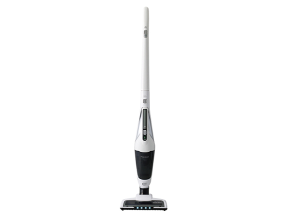 Pieria DVS-1602 �̐��i�摜