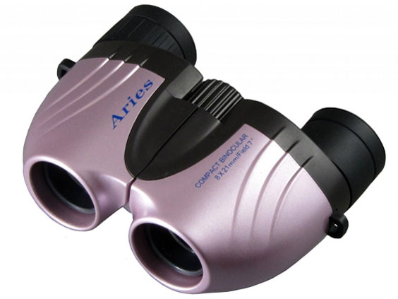 CB-202 [�s���N] �̐��i�摜