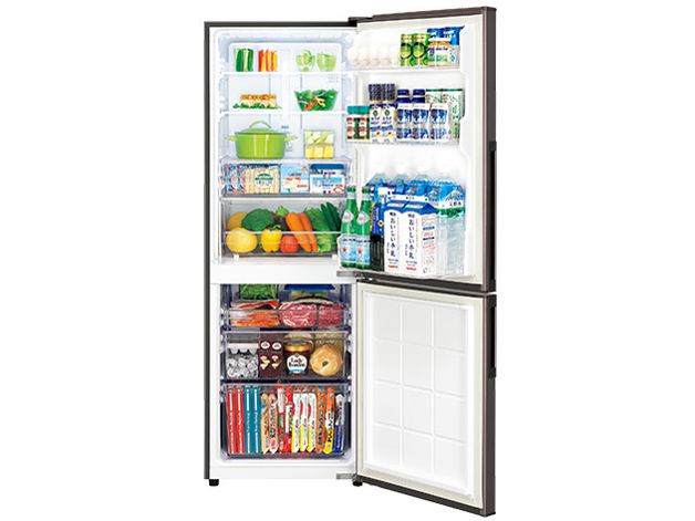 SJ-PD27C-T [�u���E���n]