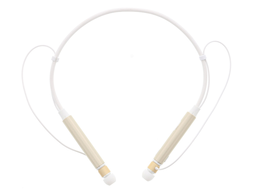 LEPLUS Austin LP-SMPBTEPGD [�S�[���h]
