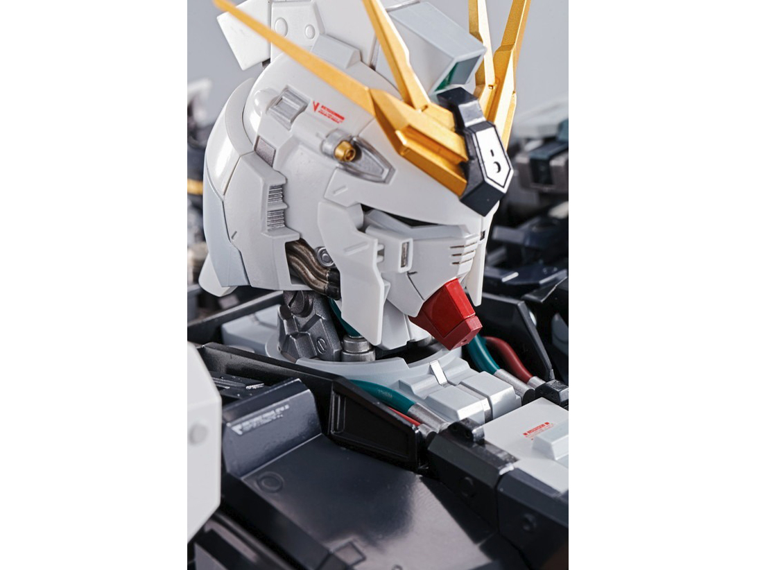 FORMANIA EX �˃K���_��