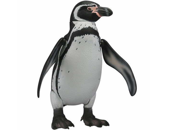 �\�t�r�g�C�{�b�N�X011 �y���M�� �t���{���g�y���M��