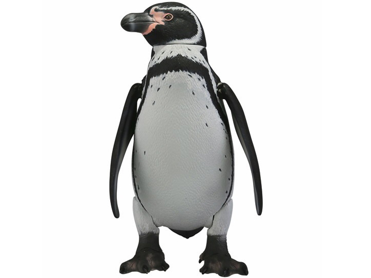 �\�t�r�g�C�{�b�N�X011 �y���M�� �t���{���g�y���M��