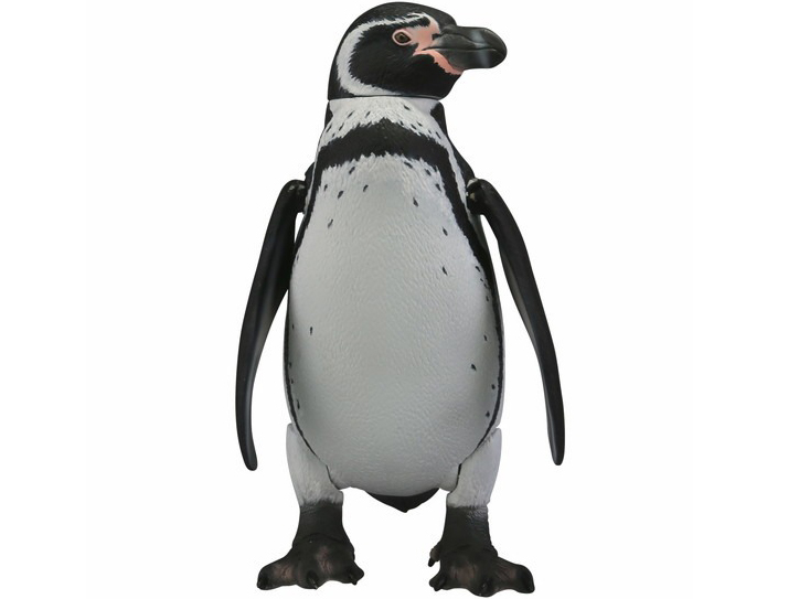 �\�t�r�g�C�{�b�N�X011 �y���M�� �t���{���g�y���M��