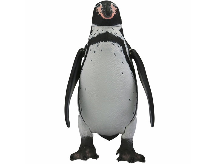 �\�t�r�g�C�{�b�N�X011 �y���M�� �t���{���g�y���M��