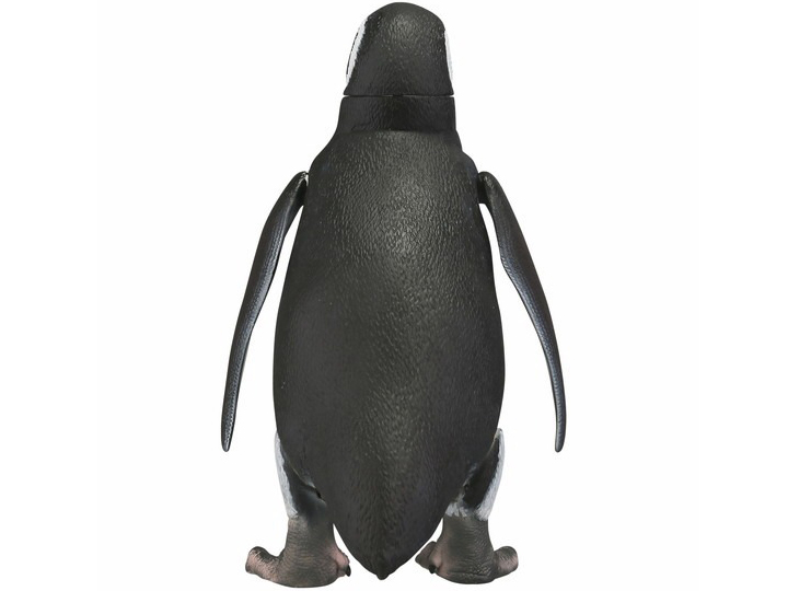 �\�t�r�g�C�{�b�N�X011 �y���M�� �t���{���g�y���M��