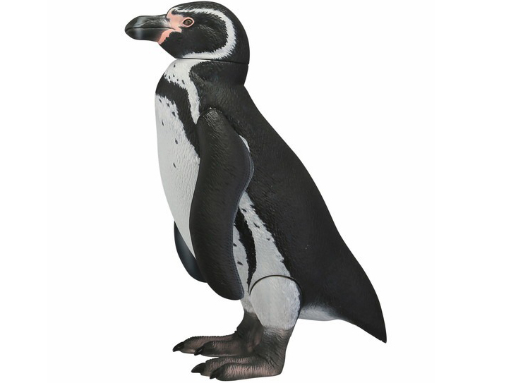 �\�t�r�g�C�{�b�N�X011 �y���M�� �t���{���g�y���M��