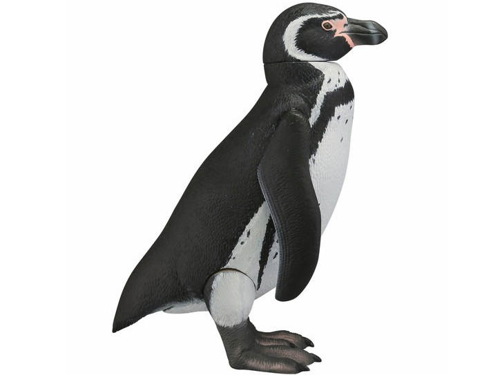 �\�t�r�g�C�{�b�N�X011 �y���M�� �t���{���g�y���M��