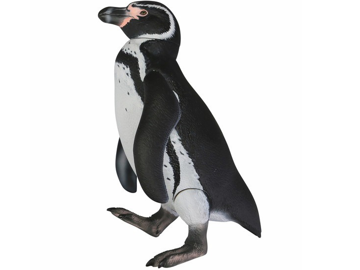 �\�t�r�g�C�{�b�N�X011 �y���M�� �t���{���g�y���M��