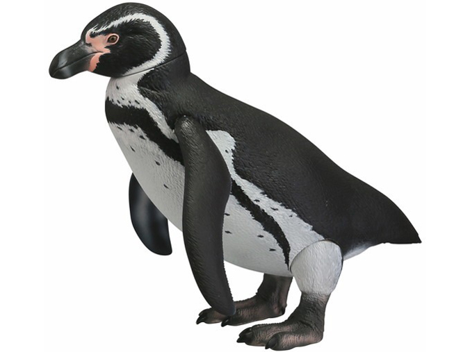 �\�t�r�g�C�{�b�N�X011 �y���M�� �t���{���g�y���M��