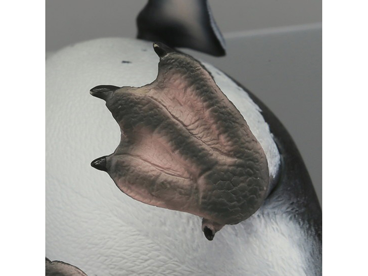 �\�t�r�g�C�{�b�N�X011 �y���M�� �t���{���g�y���M��