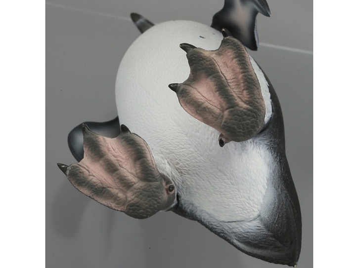 �\�t�r�g�C�{�b�N�X011 �y���M�� �t���{���g�y���M��