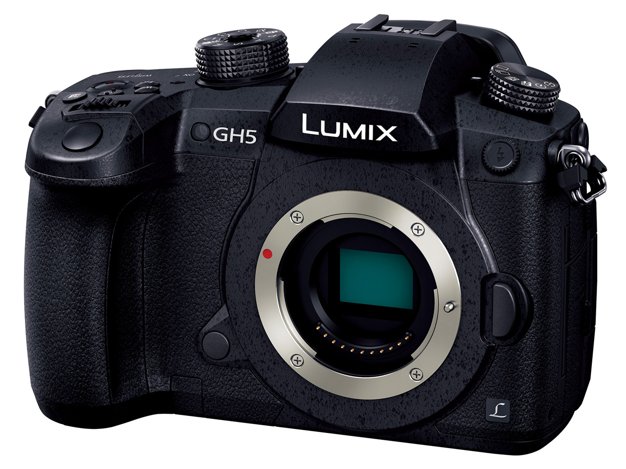 LUMIX DC-GH5 �{�f�B