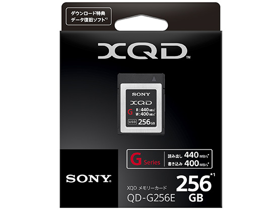 QD-G256E [256GB]