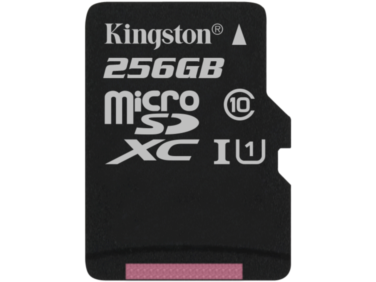 SDC10G2/256GBSP [256GB]