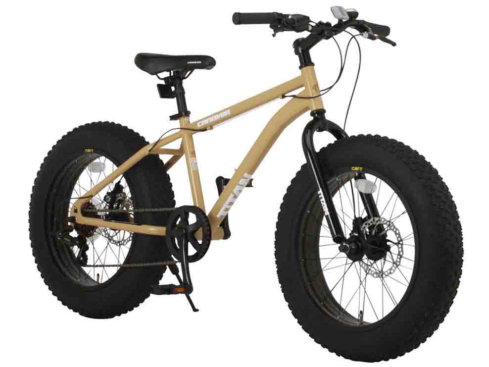 CANOVER CAFT-051-DD TITAN [�^��]