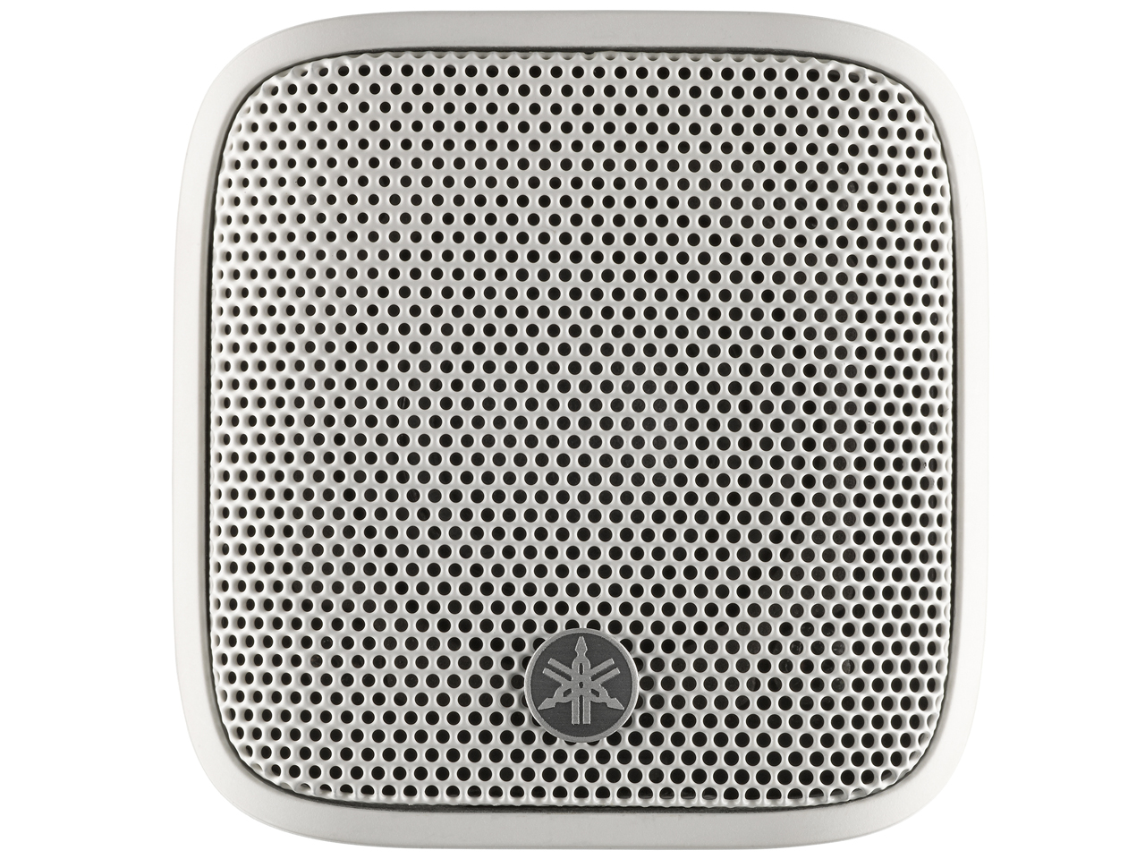 VXS1MLW [�z���C�g �P�i]