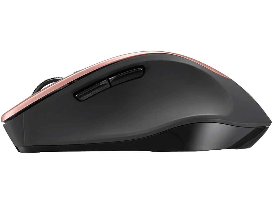 BSMBW320BP [�x�[�W���s���N]