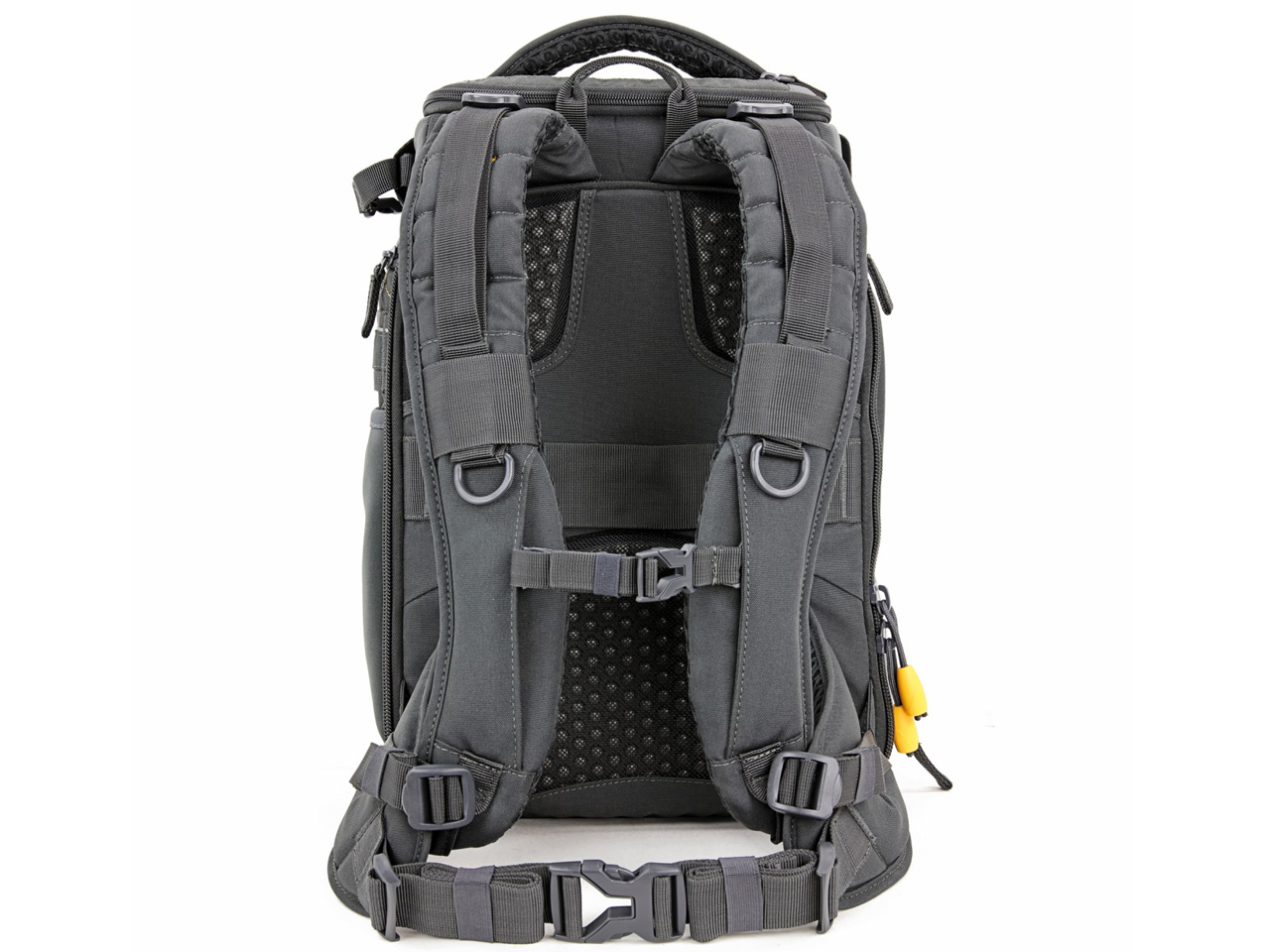 ALTA SKY 45D [�O���[]