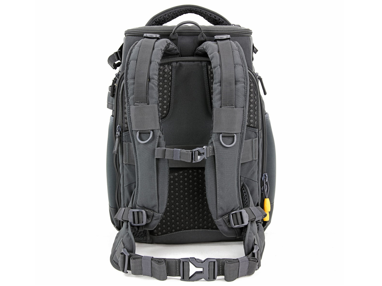 ALTA SKY 49 [�O���[]