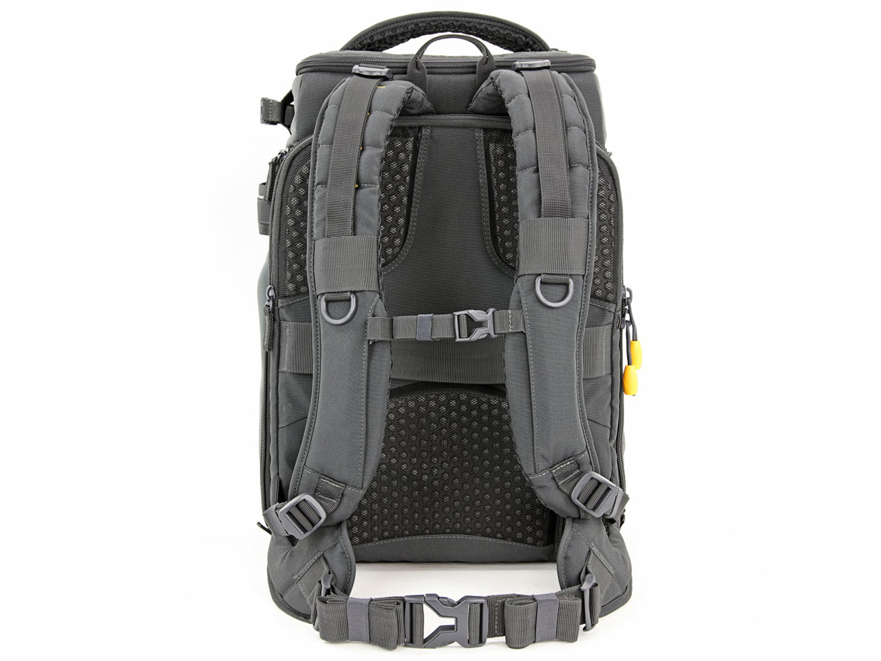 ALTA SKY 51D [�O���[]