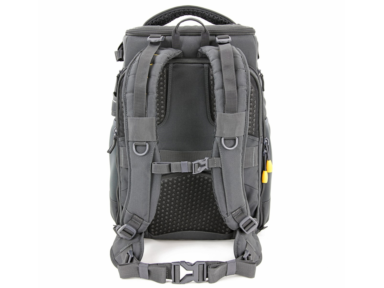 ALTA SKY 53 [�O���[]