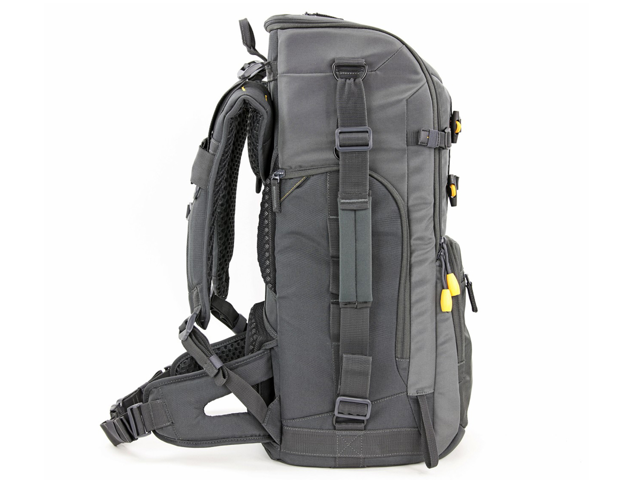 ALTA SKY 66 [�O���[]